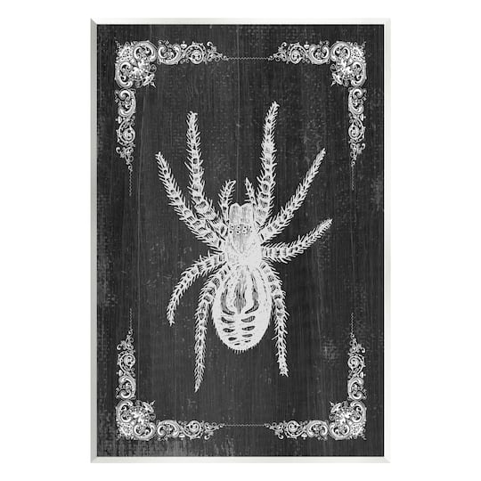 Stupell Industries Black & White Spider Wall Plaque Art